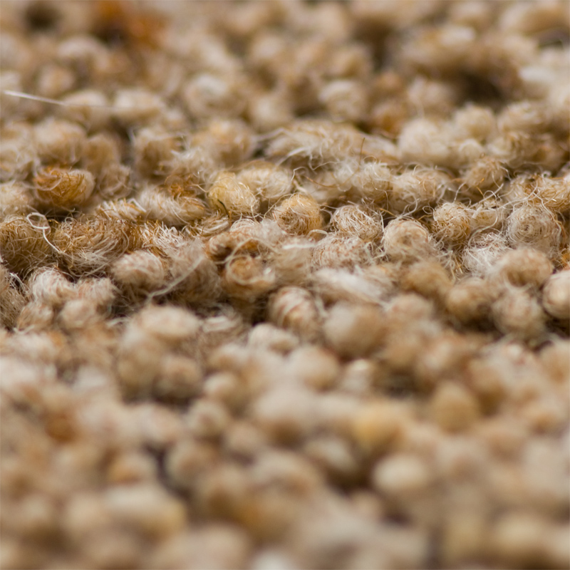 Carpets in Nottingham